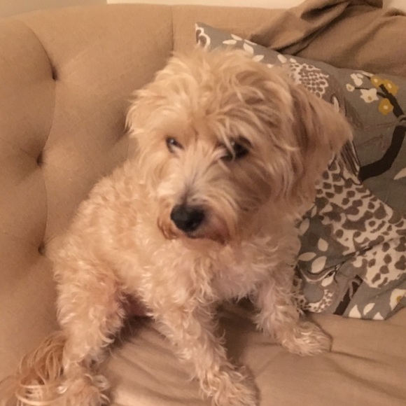 Meet your Posher, Christine - Picture 1 of 1